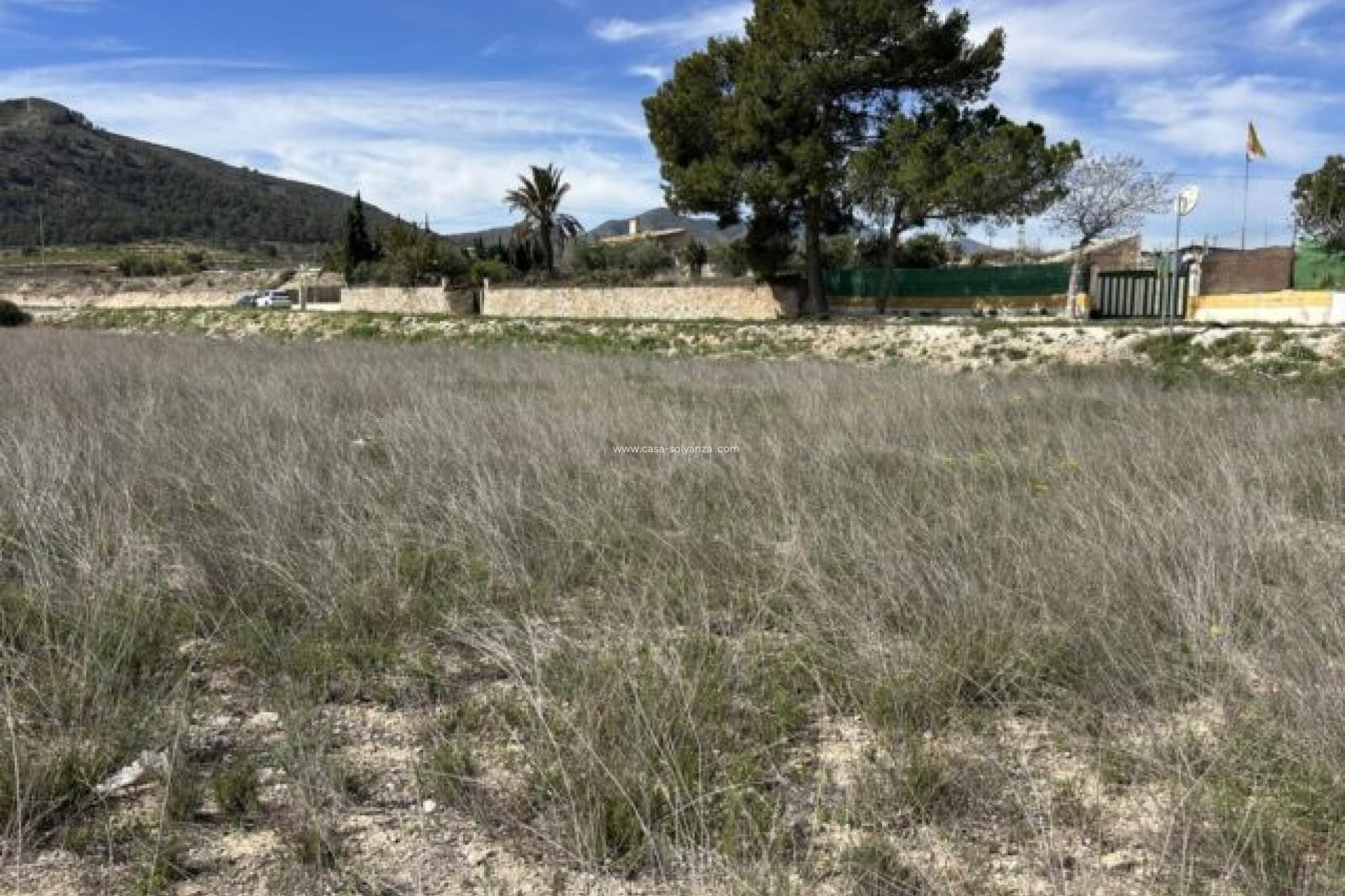 Herverkoop - Appartement / flat - La Romana