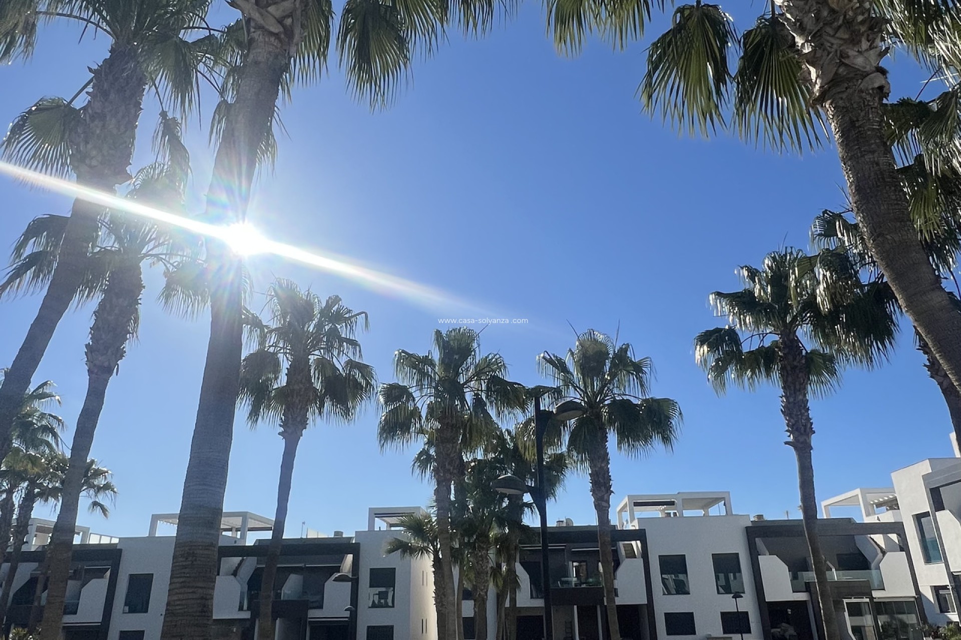 Herverkoop - Appartement / flat - La Zenia