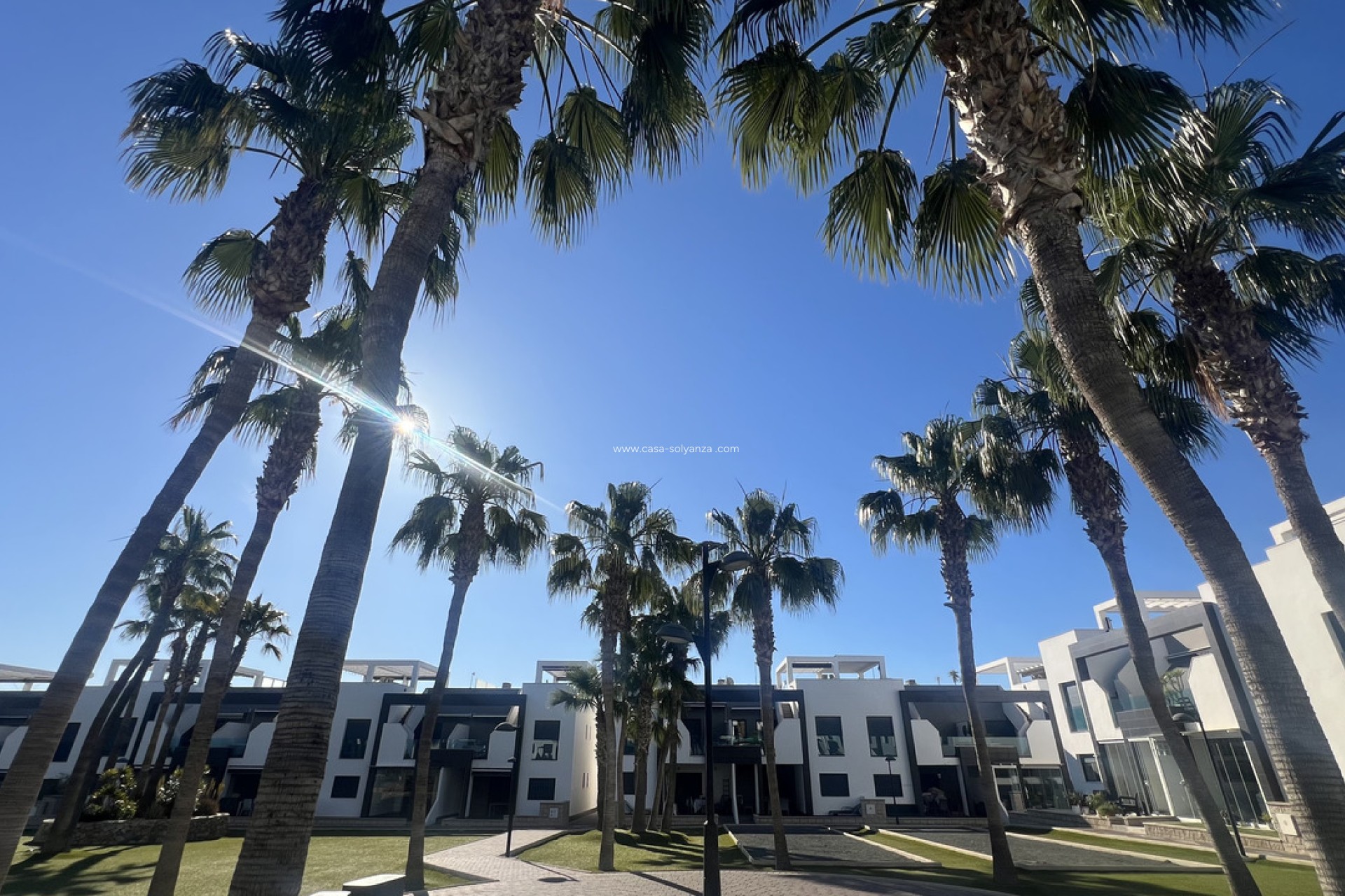 Herverkoop - Appartement / flat - La Zenia