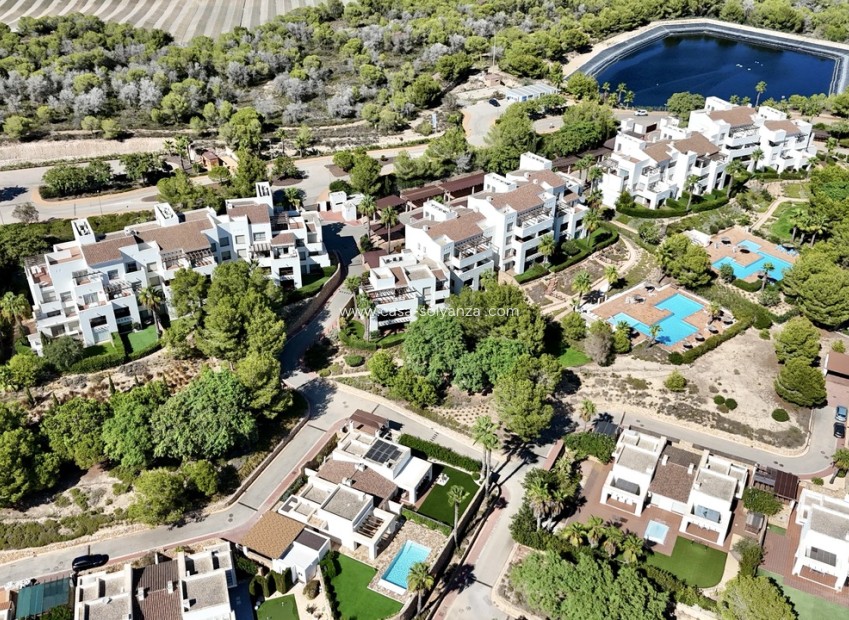 Herverkoop - Appartement / flat - Las Colinas Golf Resort