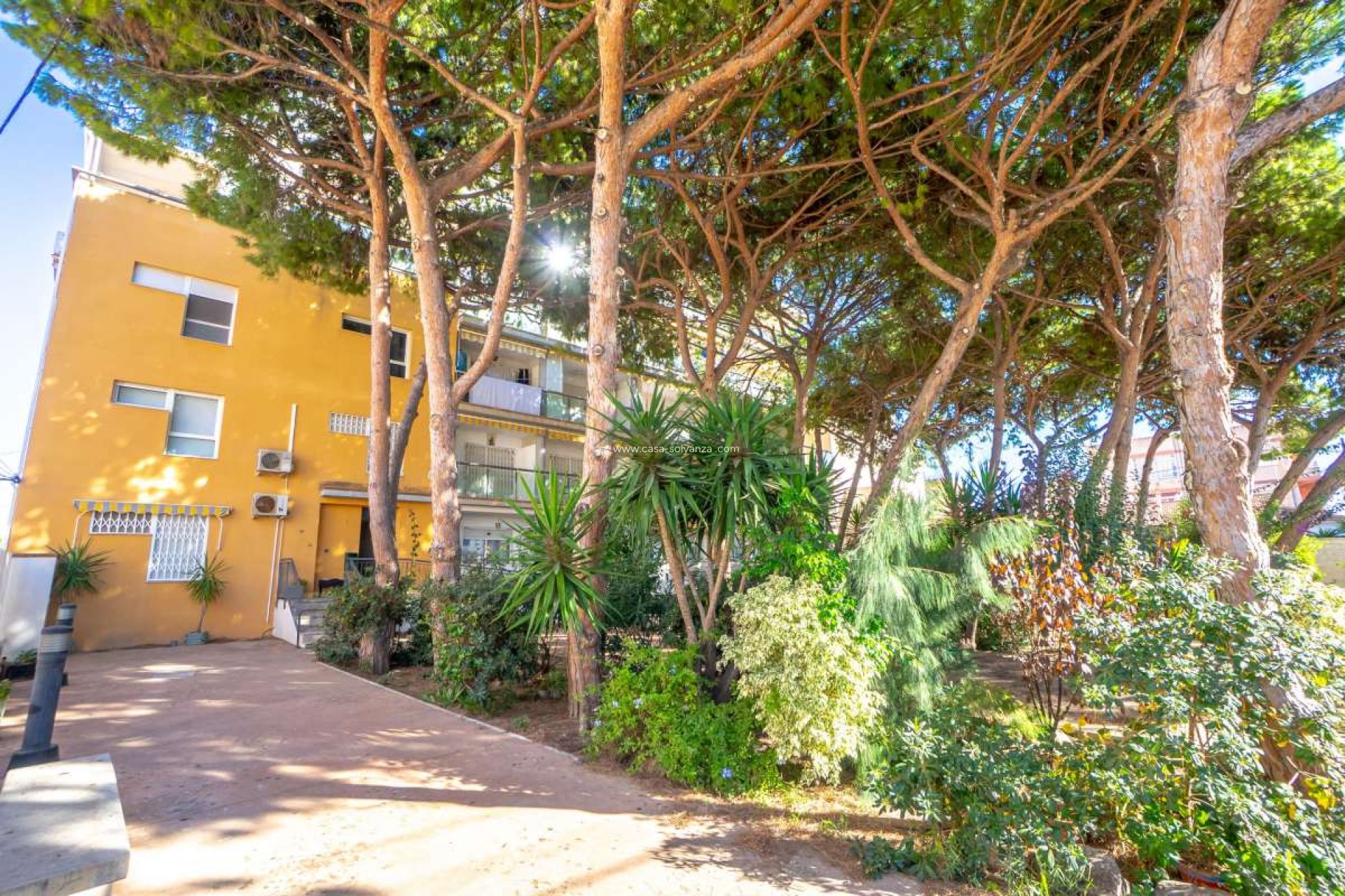 Herverkoop - Appartement / flat - Lo Pagan - Costa Calida