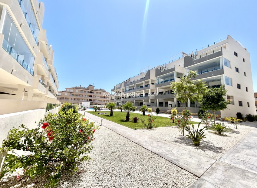 Herverkoop - Appartement / flat - Los Dolses - Inland
