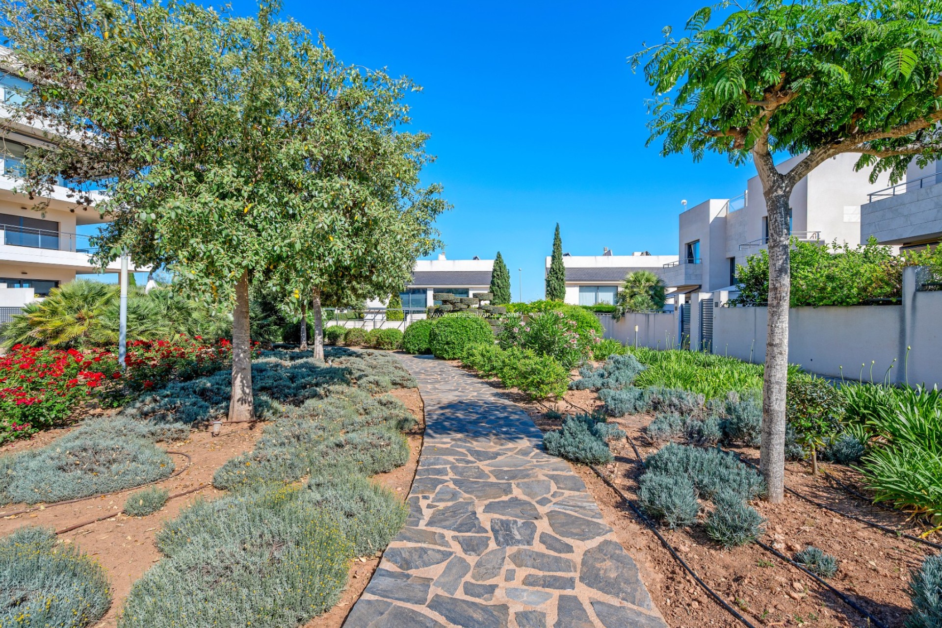 Herverkoop - Appartement / flat - Los Dolses