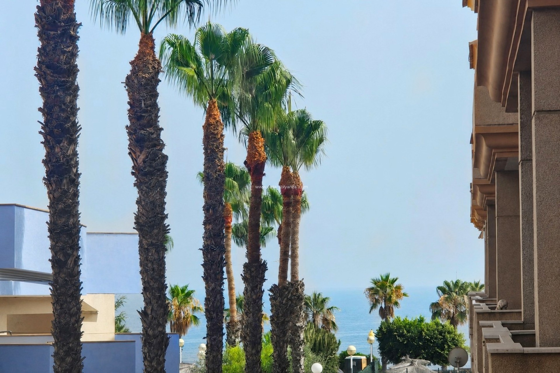 Herverkoop - Appartement / flat - Orihuela Costa - Aguamarina