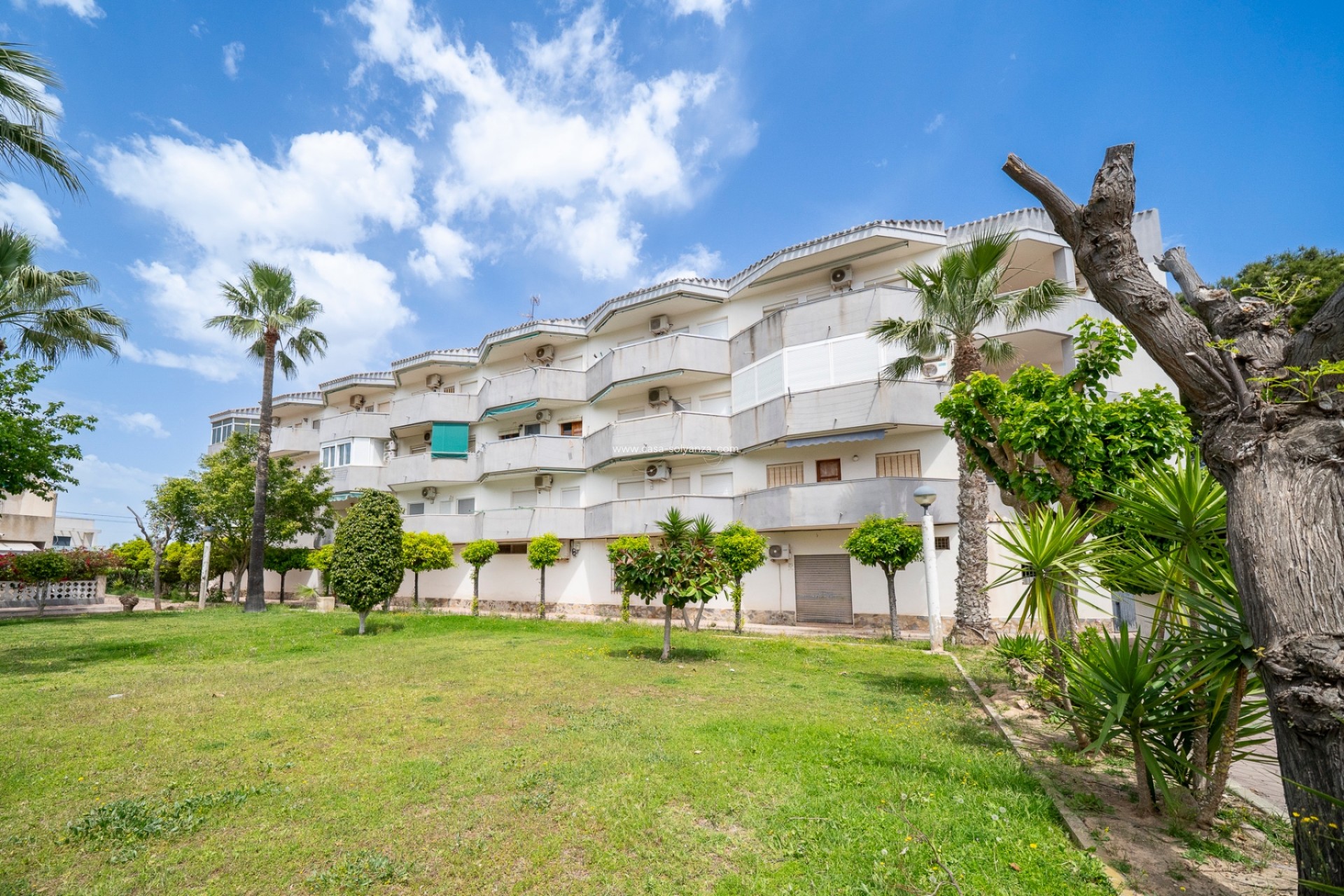 Herverkoop - Appartement / flat - Orihuela Costa - Cabo Roig