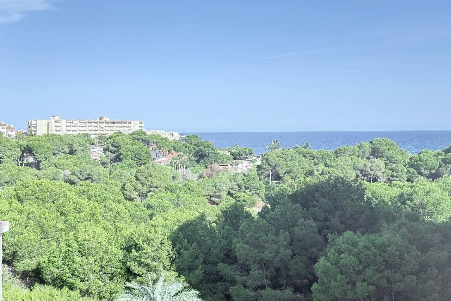 Herverkoop - Appartement / flat - Orihuela Costa - Campoamor