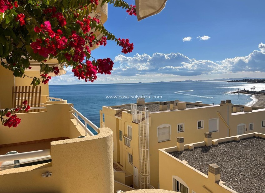 Herverkoop - Appartement / flat - Orihuela Costa - Campoamor