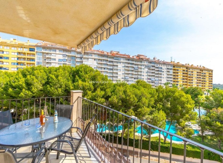 Herverkoop - Appartement / flat - Orihuela Costa - Campoamor