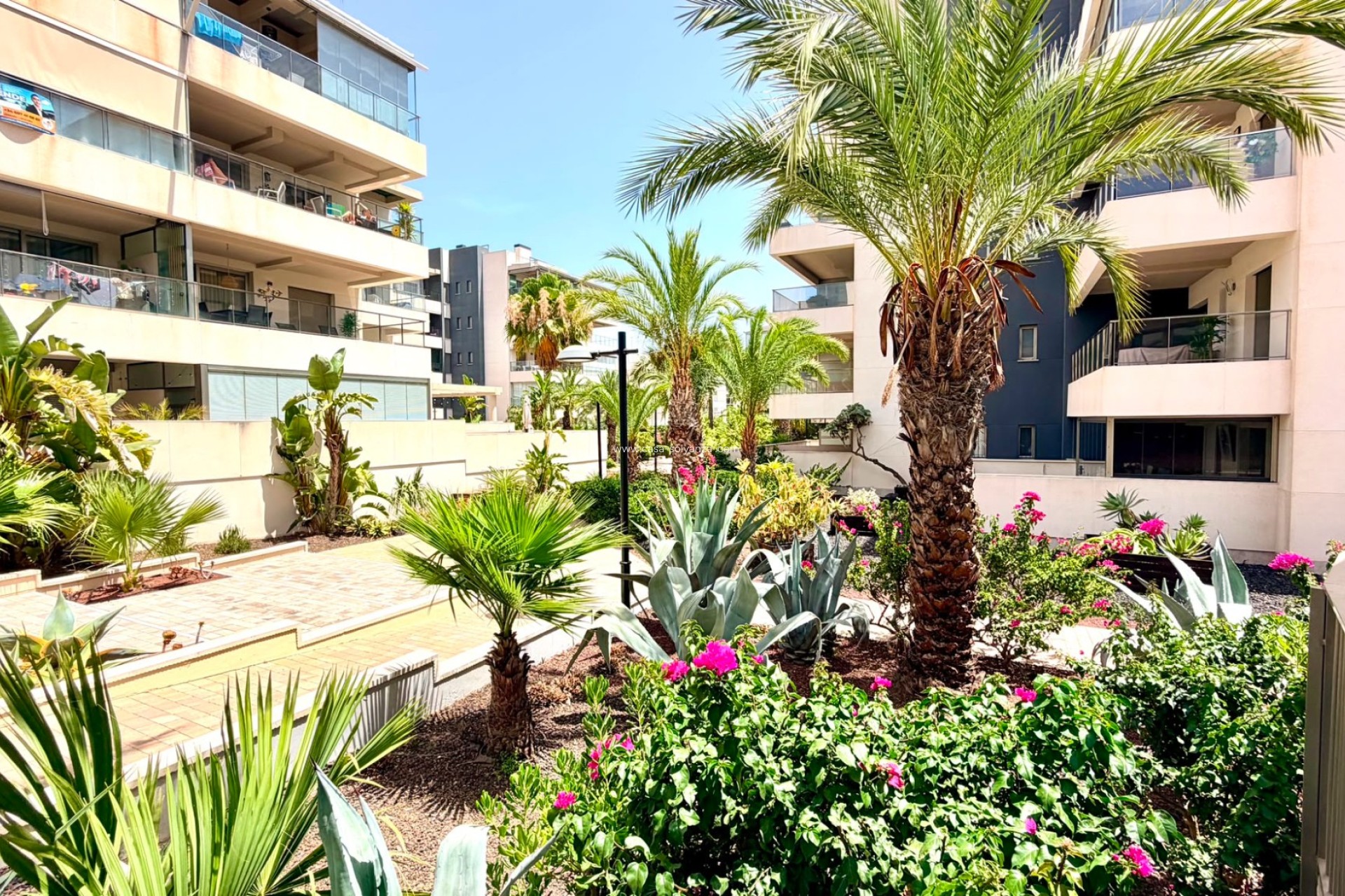 Herverkoop - Appartement / flat - Orihuela Costa - Costa Blanca