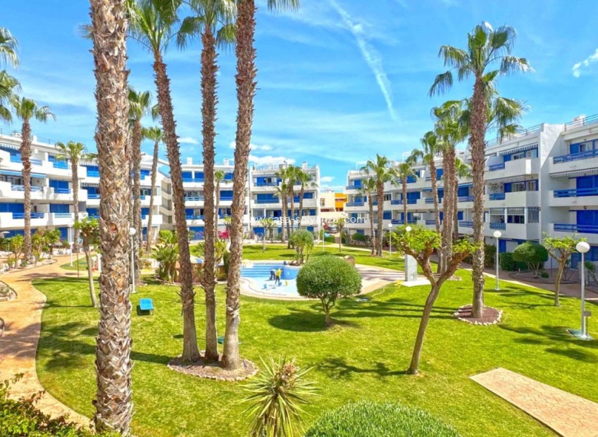 Herverkoop - Appartement / flat - Orihuela Costa - Costa Blanca