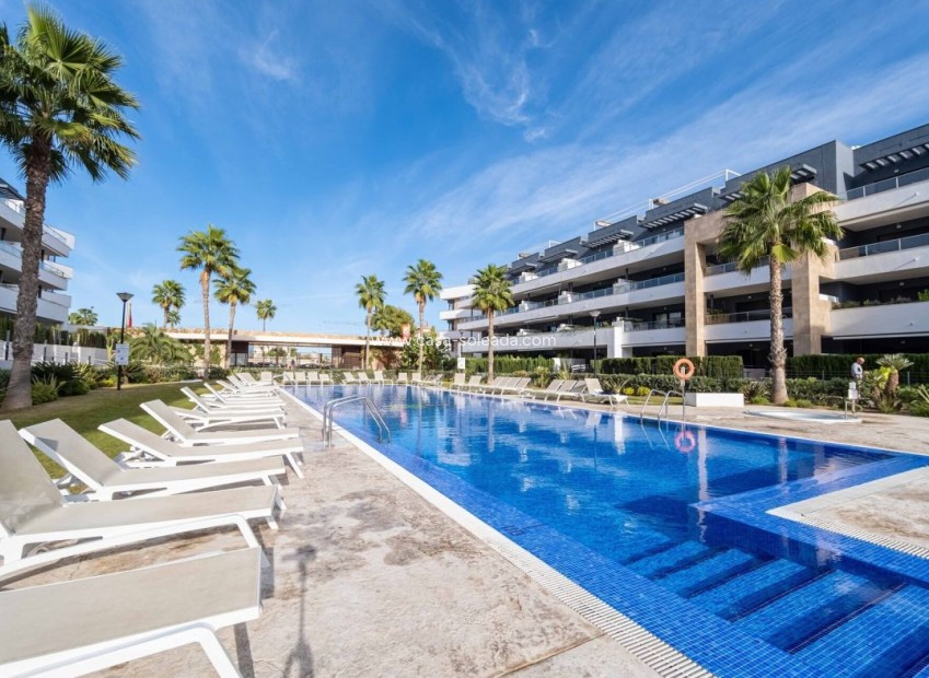 Herverkoop - Appartement / flat - Orihuela Costa - Costa Blanca