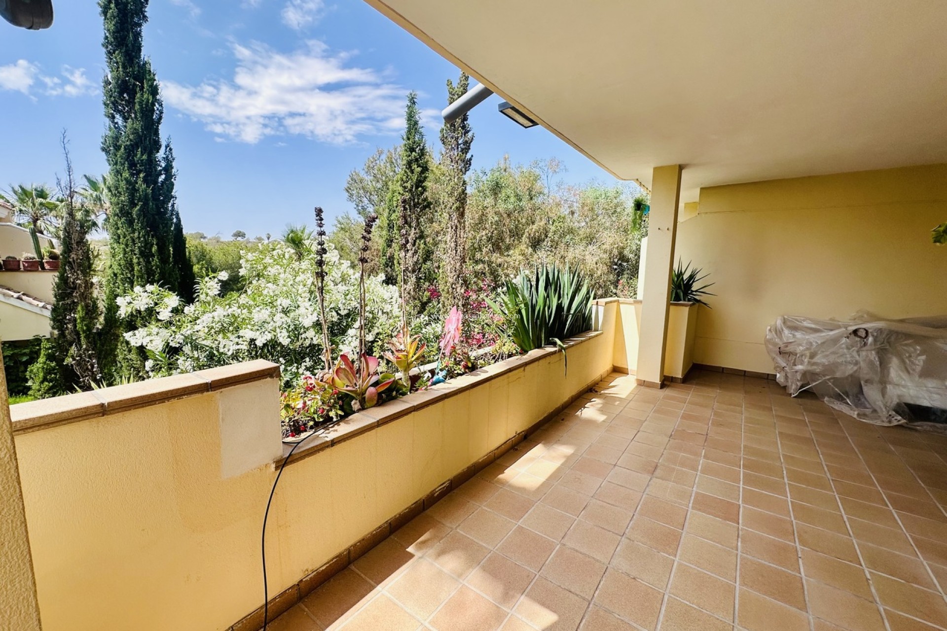 Herverkoop - Appartement / flat - Orihuela Costa - Costa Blanca
