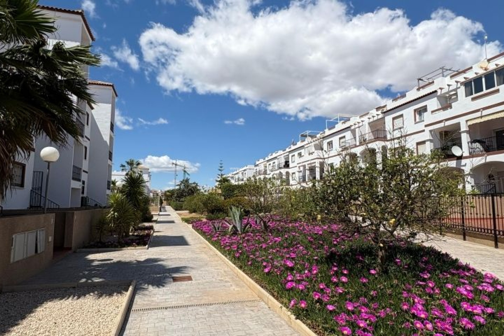 Herverkoop - Appartement / flat - Orihuela Costa - Costa Blanca