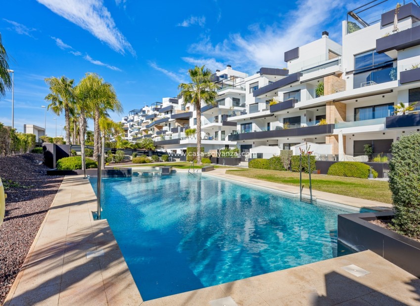 Herverkoop - Appartement / flat - Orihuela Costa - Costa Blanca