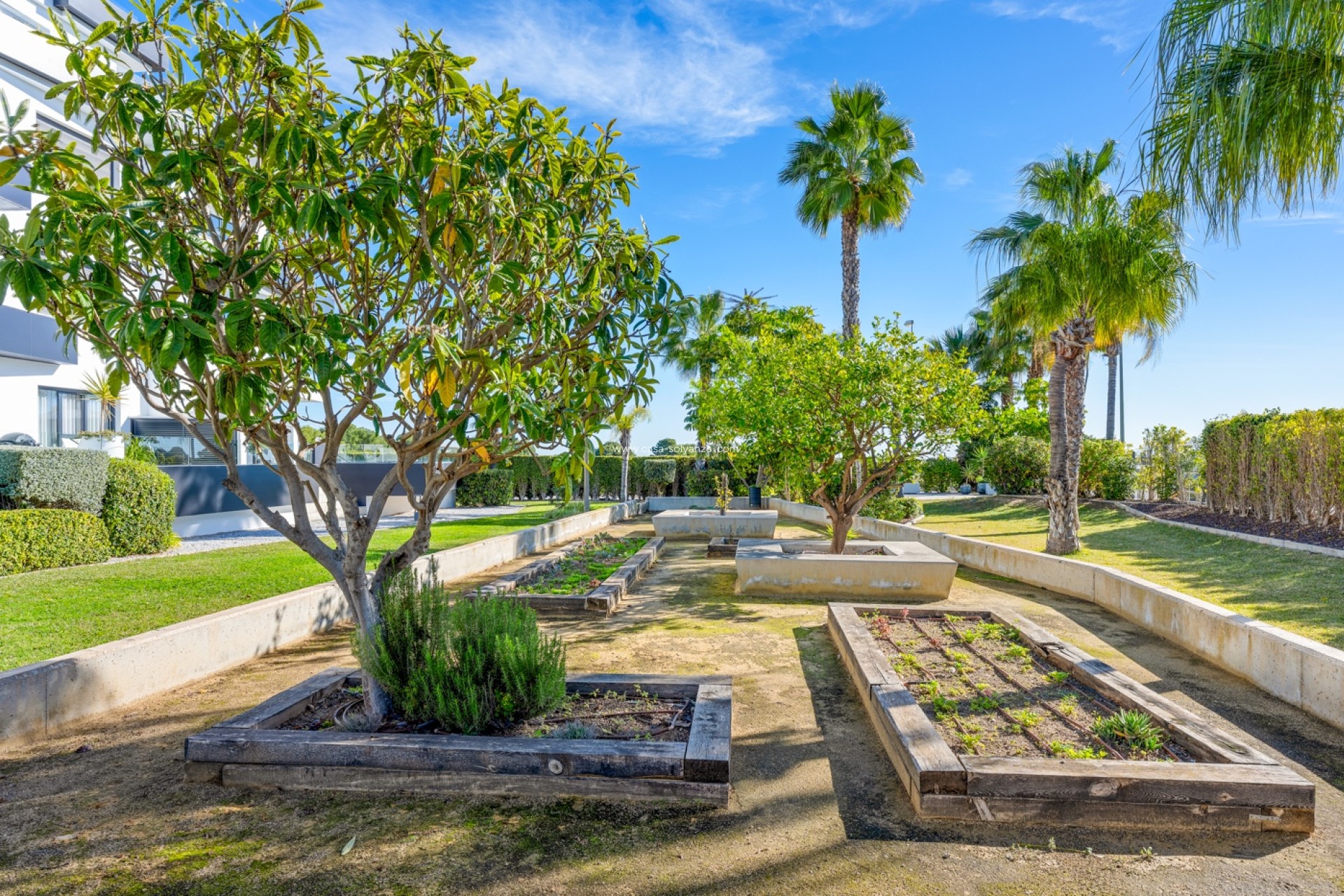 Herverkoop - Appartement / flat - Orihuela Costa - Costa Blanca