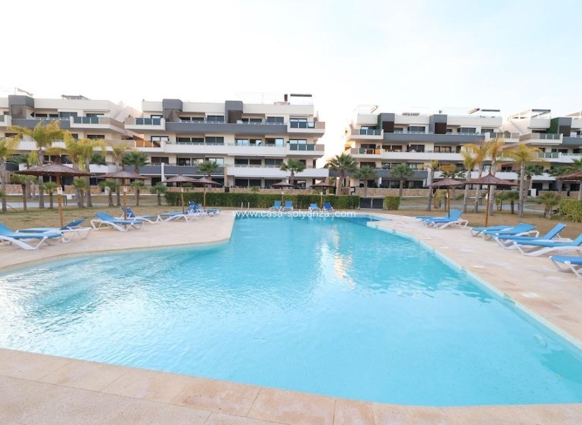 Herverkoop - Appartement / flat - Orihuela Costa - Costa Blanca