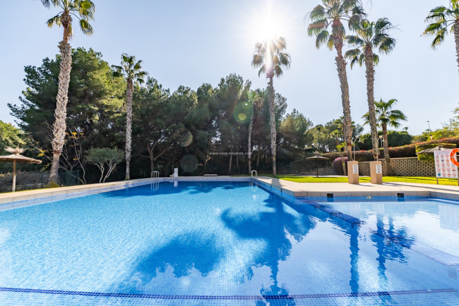 Herverkoop - Appartement / flat - Orihuela Costa - Costa Blanca