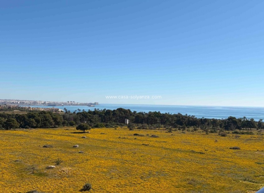 Herverkoop - Appartement / flat - Orihuela Costa - Costa Blanca