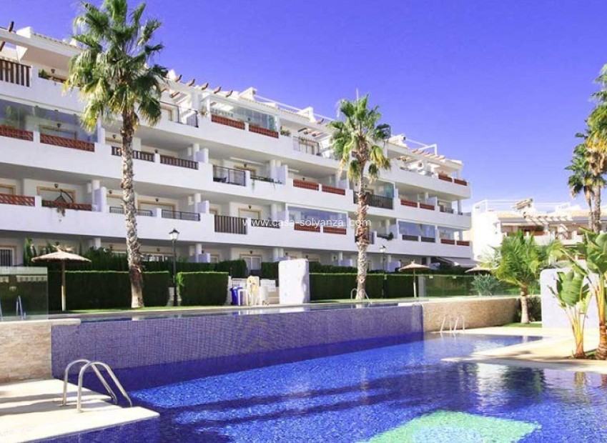 Herverkoop - Appartement / flat - Orihuela Costa - Costa Blanca