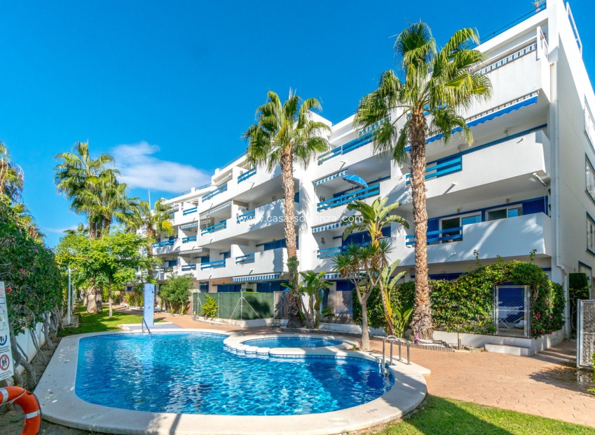Herverkoop - Appartement / flat - Orihuela Costa - La Calma