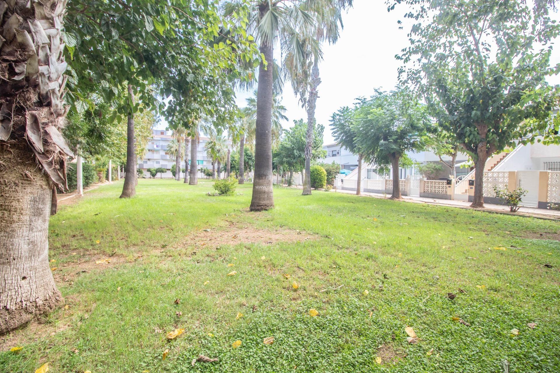 Herverkoop - Appartement / flat - Orihuela Costa - La Regia