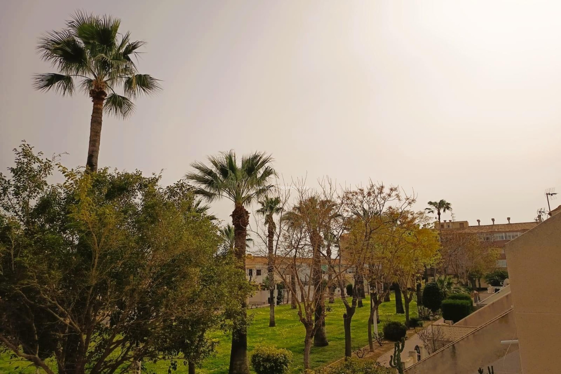 Herverkoop - Appartement / flat - Orihuela Costa - La Regia