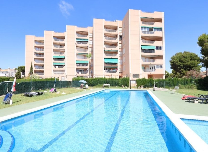 Herverkoop - Appartement / flat - Orihuela Costa - La Zenia
