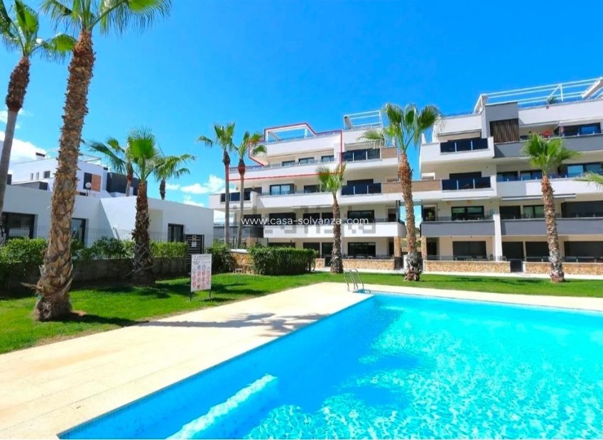 Herverkoop - Appartement / flat - Orihuela Costa - Los Almendros-La Florida