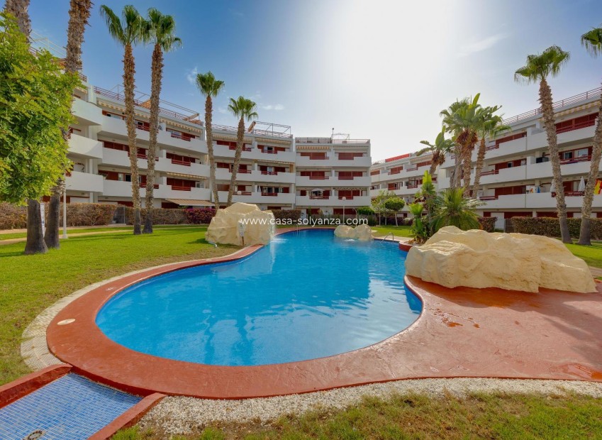 Herverkoop - Appartement / flat - Orihuela Costa - Playa Flamenca