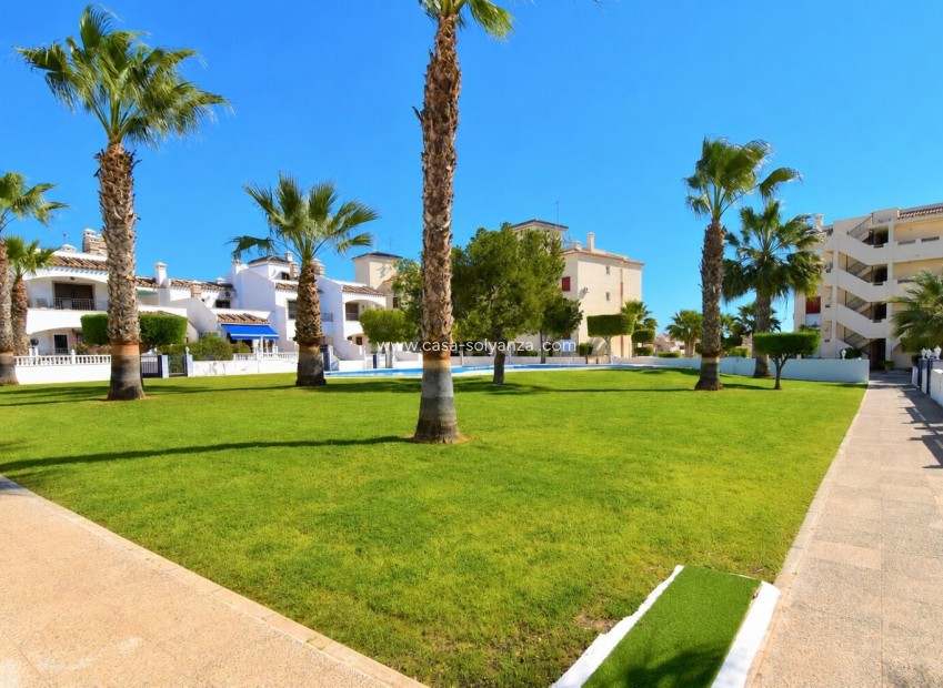 Herverkoop - Appartement / flat - Orihuela Costa - Playa Flamenca