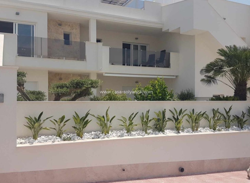 Herverkoop - Appartement / flat - Orihuela Costa - Villamartín