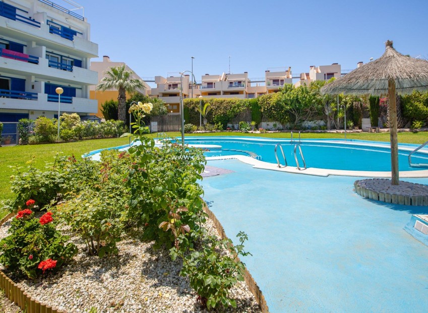 Herverkoop - Appartement / flat - Orihuela Costa