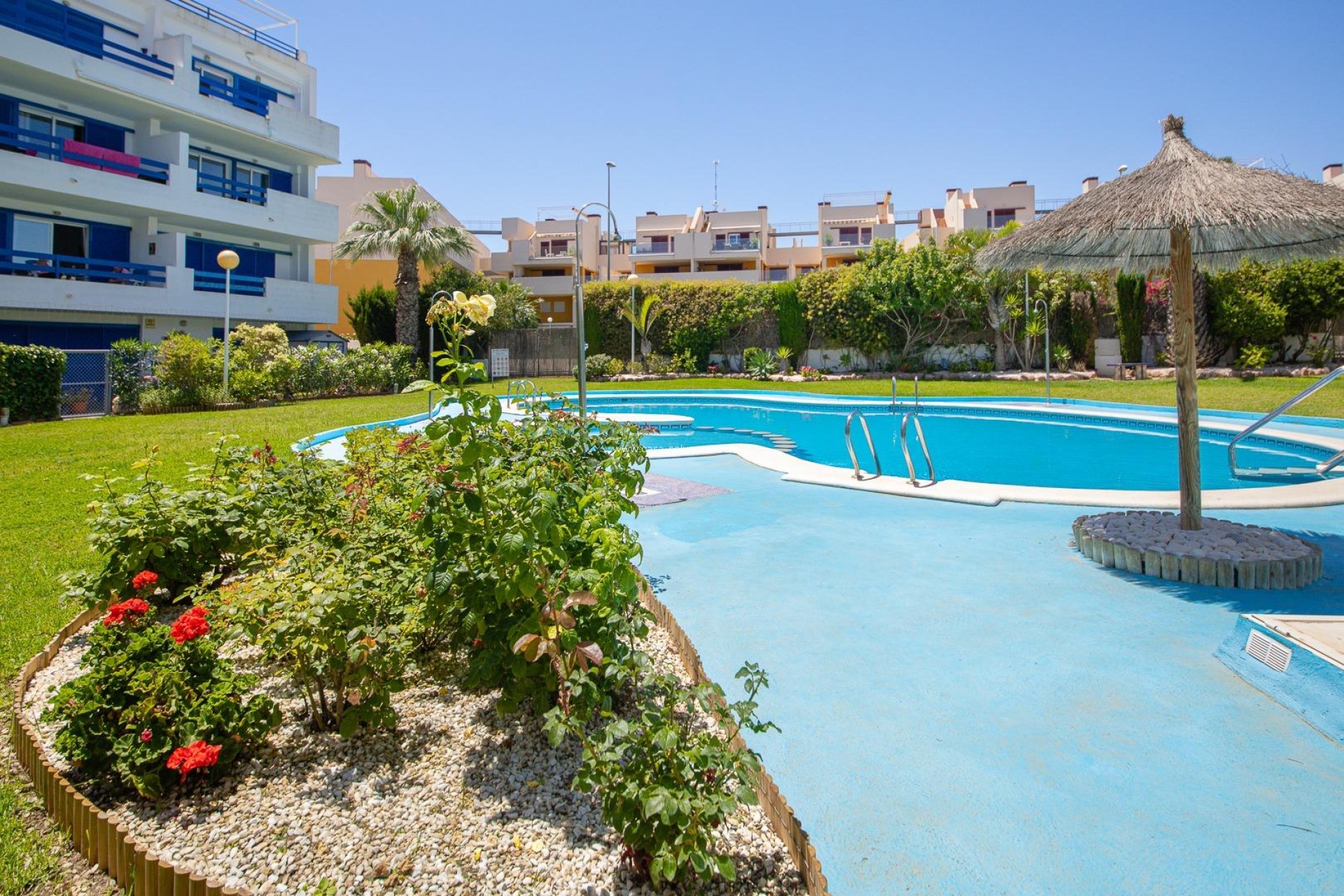 Herverkoop - Appartement / flat - Orihuela Costa