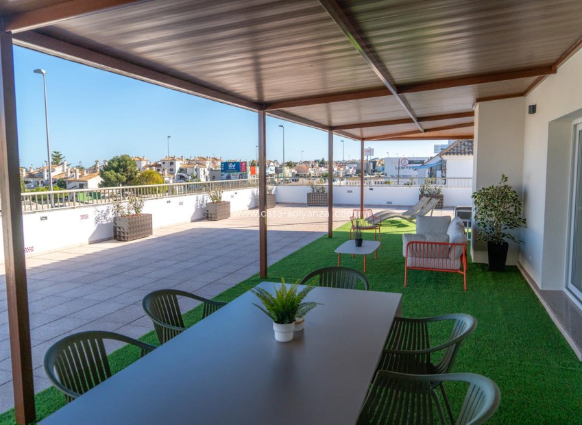 Herverkoop - Appartement / flat - Orihuela - Inland