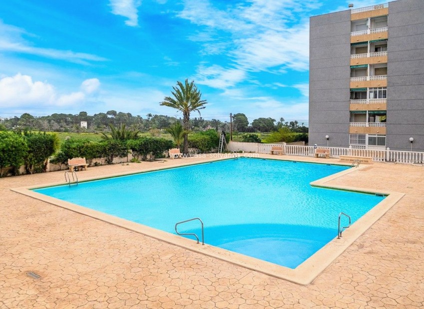 Herverkoop - Appartement / flat - Orihuela - Punta Prima