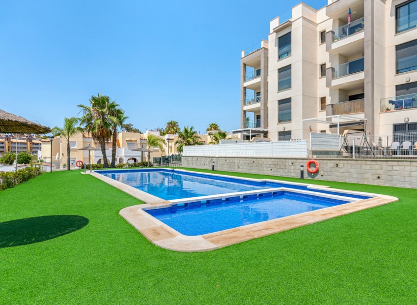 Herverkoop - Appartement / flat - Orihuela - Villamartin