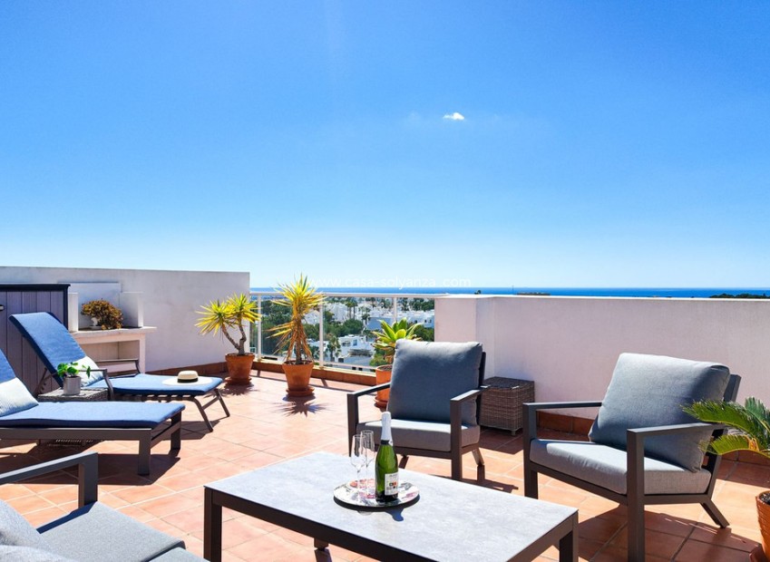 Herverkoop - Appartement / flat - Orihuela - Villamartin