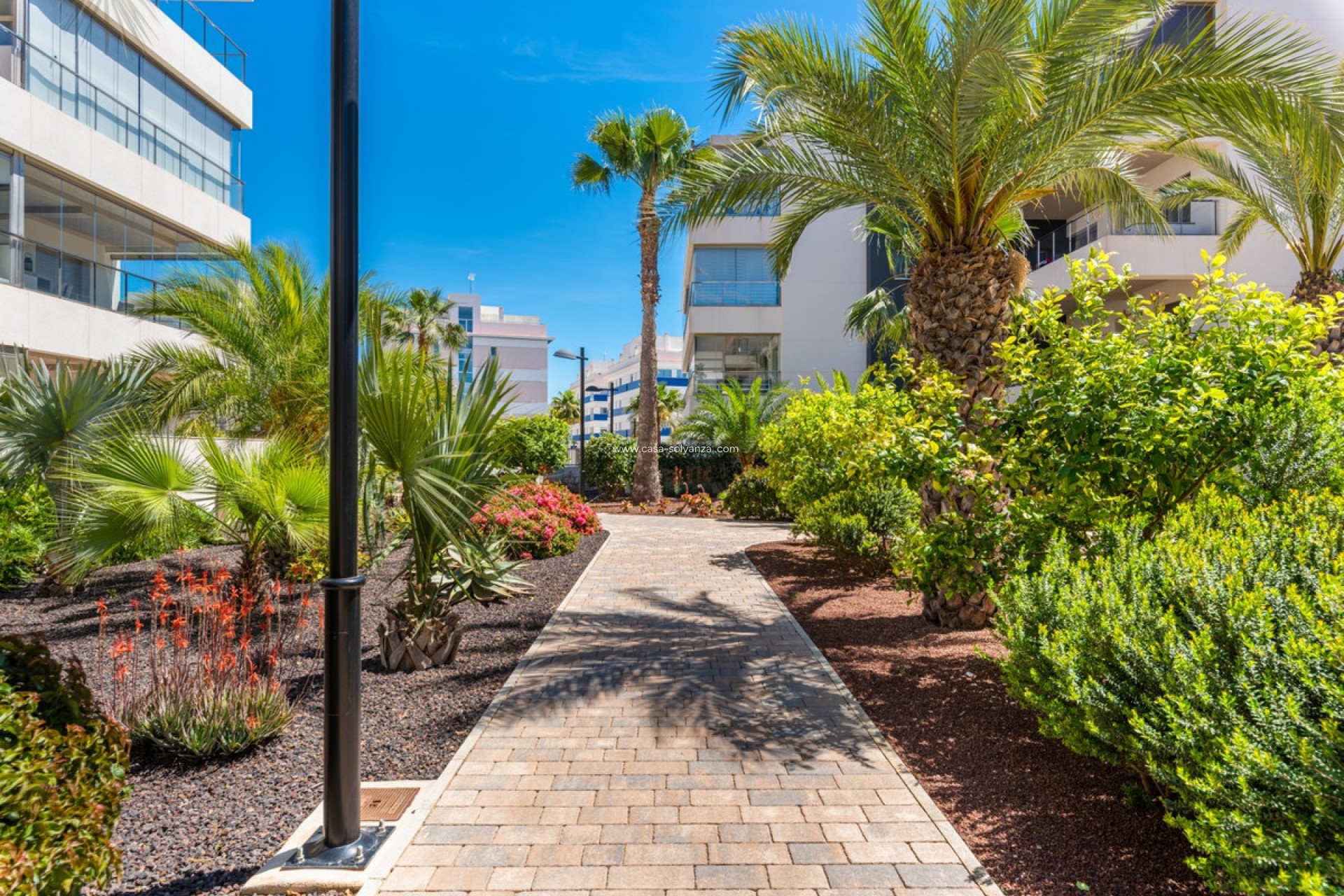 Herverkoop - Appartement / flat - Orihuela - Villamartin