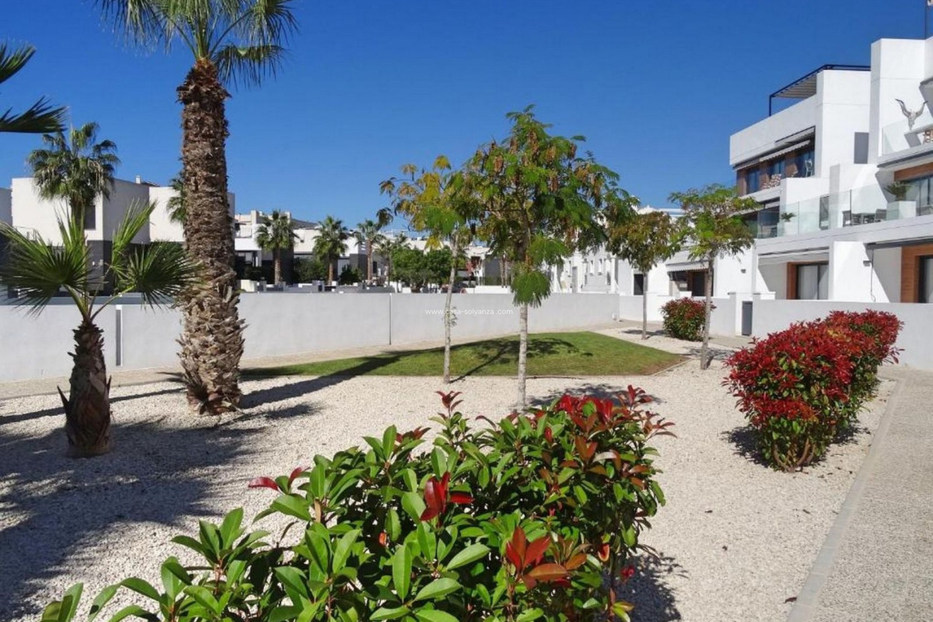 Herverkoop - Appartement / flat - Orihuela - Villamartin