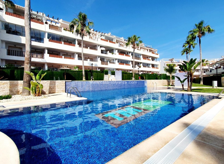 Herverkoop - Appartement / flat - Orihuela - Villamartin