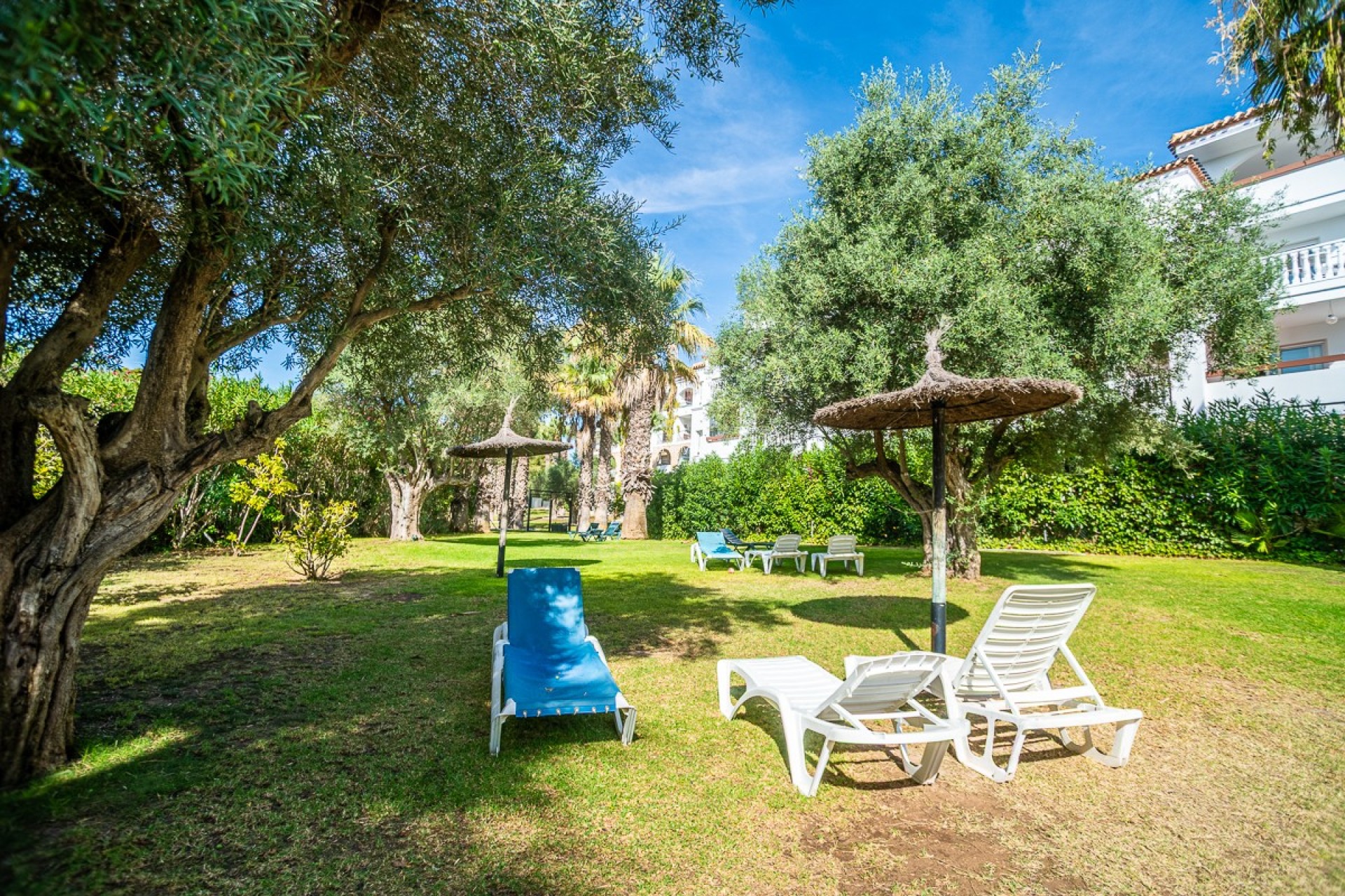 Herverkoop - Appartement / flat - ORIHUELA - VILLAMARTÍN