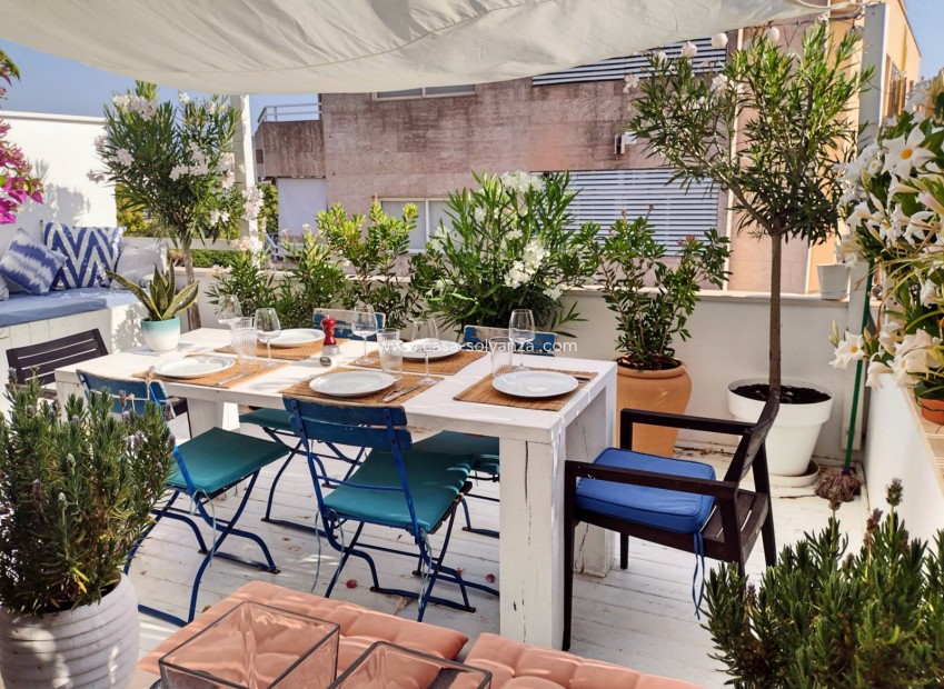 Herverkoop - Appartement / flat - Palma