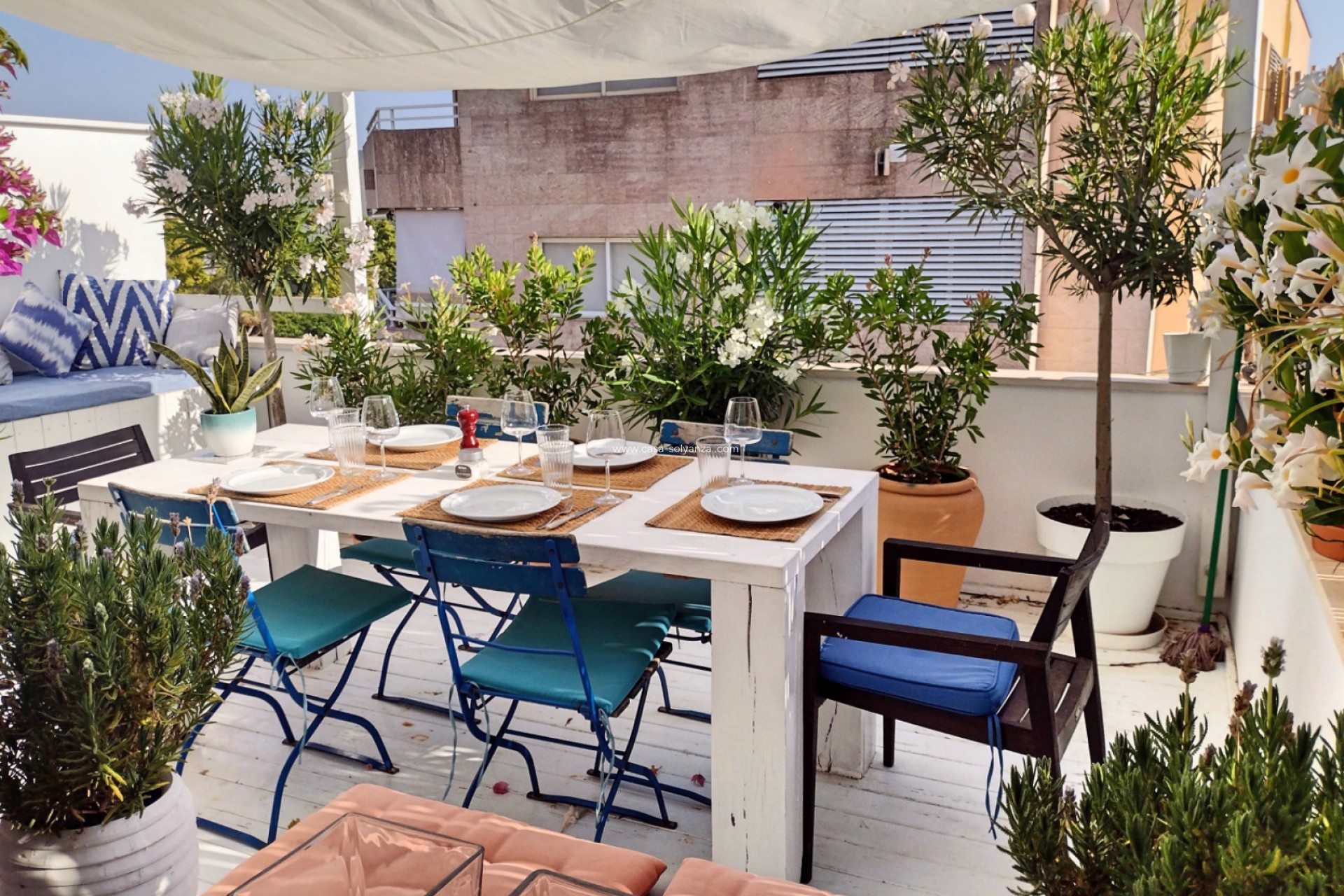 Herverkoop - Appartement / flat - Palma