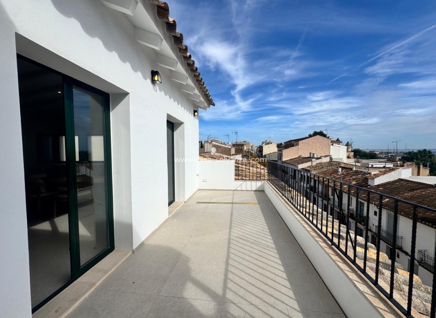 Herverkoop - Appartement / flat - Palma