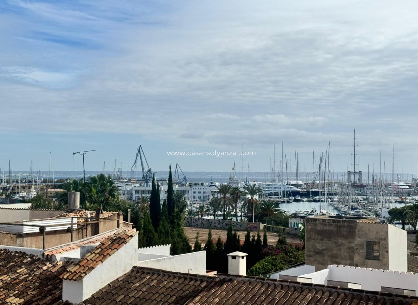 Herverkoop - Appartement / flat - Palma