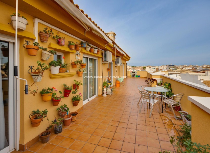 Herverkoop - Appartement / flat - Pilar de la Horadada