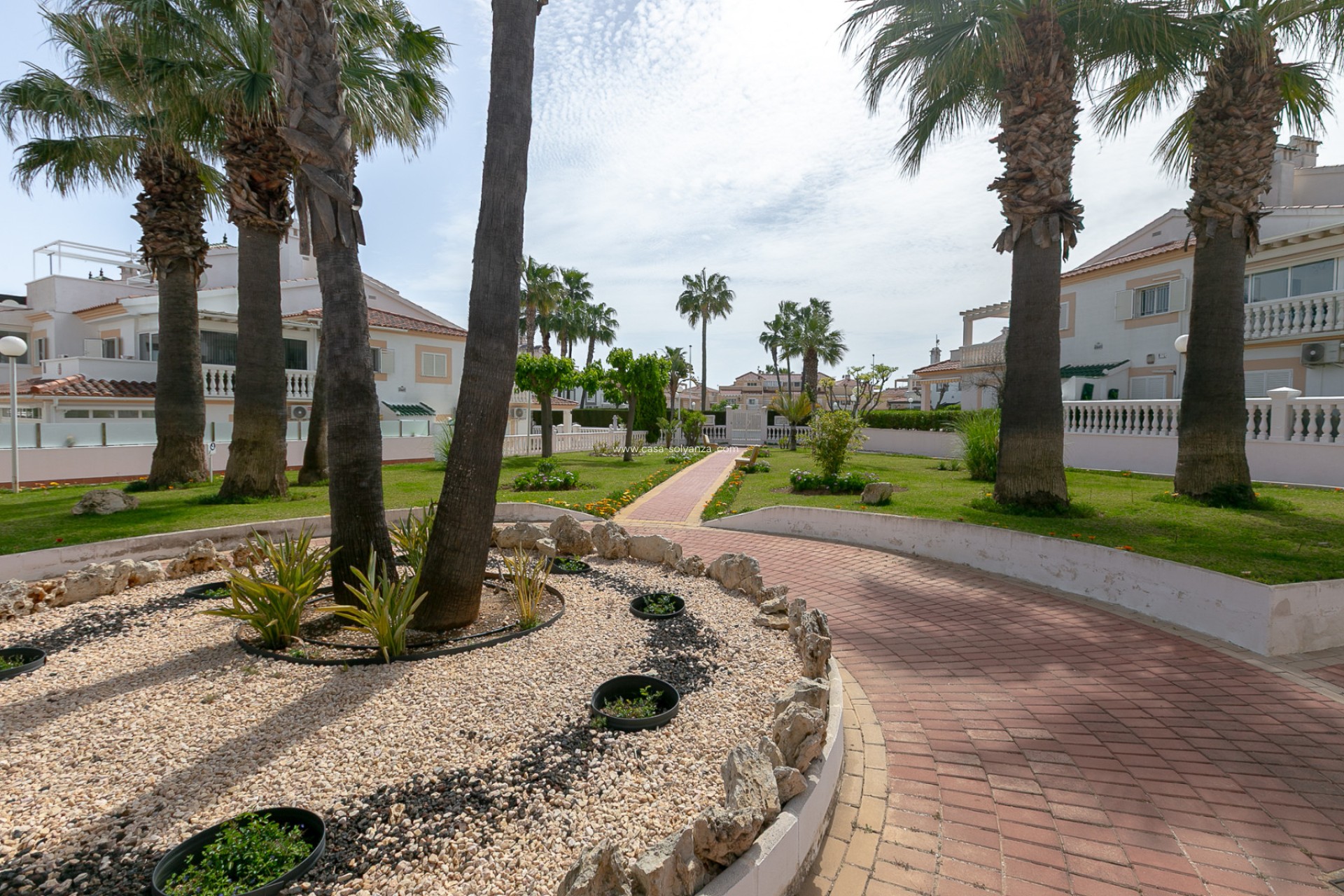 Herverkoop - Appartement / flat - Playa Flamenca - Zenia Mar