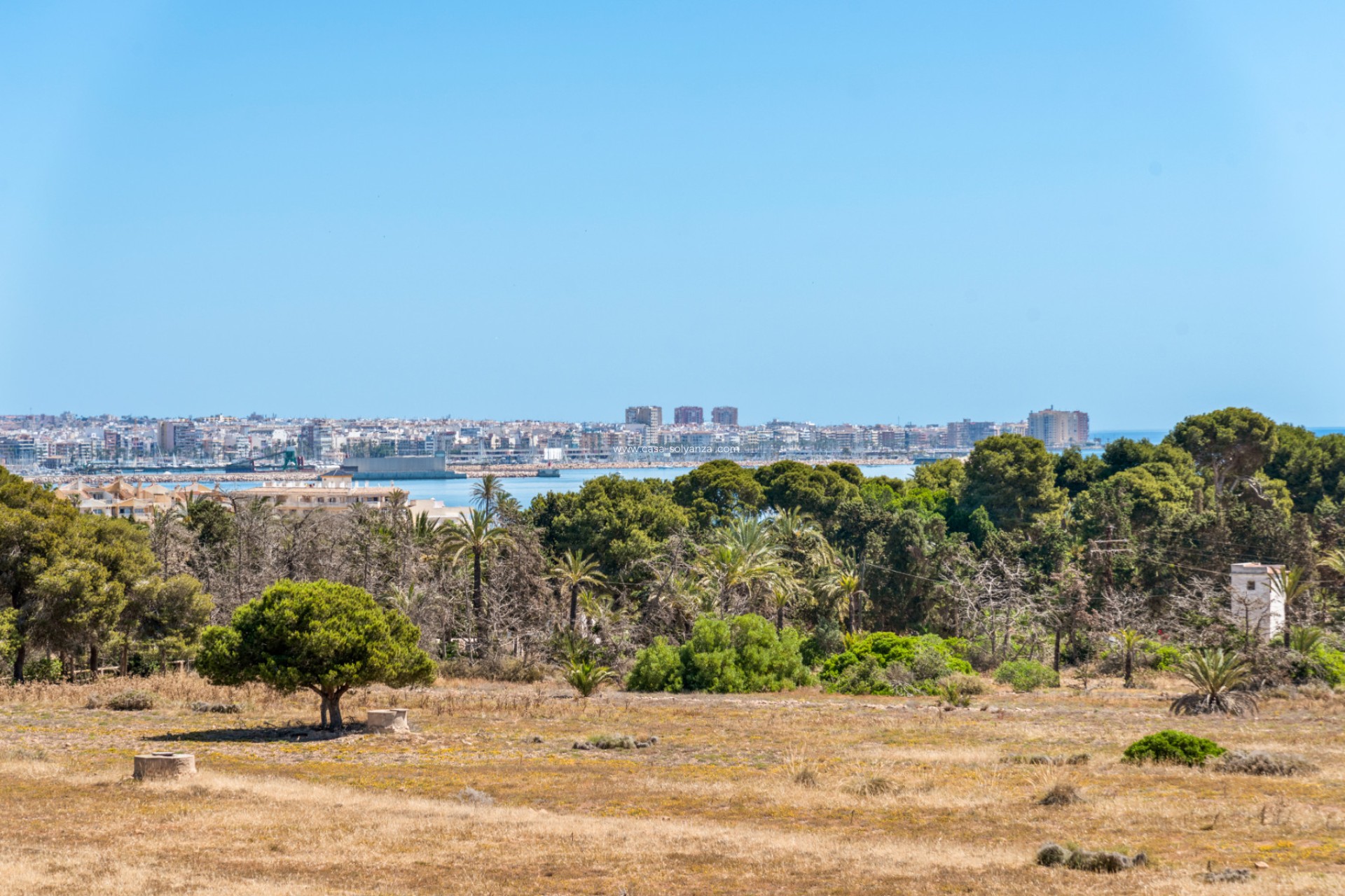 Herverkoop - Appartement / flat - Punta Prima - Beachside