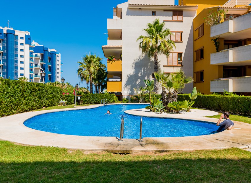 Herverkoop - Appartement / flat - Punta Prima - Costa Blanca