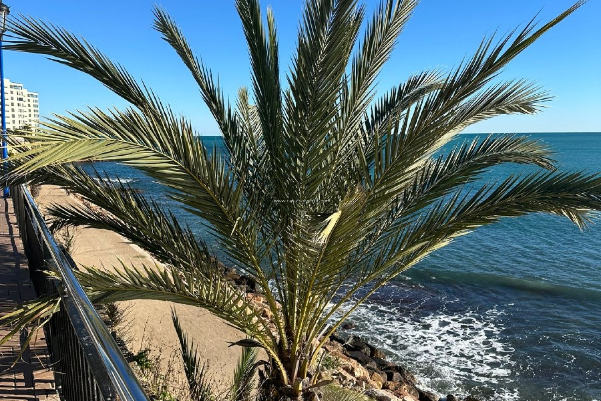 Herverkoop - Appartement / flat - Punta Prima - Costa Blanca